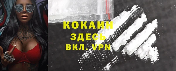 ГАЛЛЮЦИНОГЕННЫЕ ГРИБЫ Переславль-Залесский