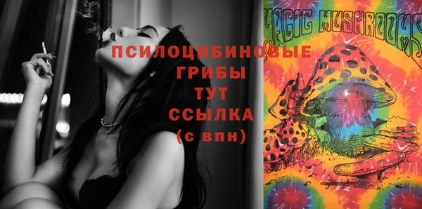 ГАЛЛЮЦИНОГЕННЫЕ ГРИБЫ Переславль-Залесский